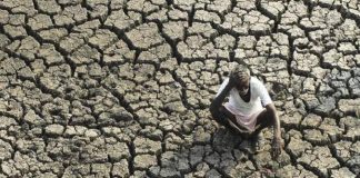 कागजों में सिमटी झारखंड सरकार की फसल सुखाड़ योजना