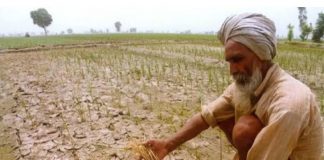 मंदसौर में लाभार्थी किसानों के बजाय कंपनी को किया करोड़ों का भुगतान