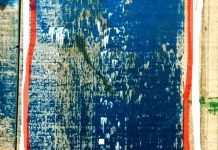 पारुल हर्ष बंसल की सात कविताएँ