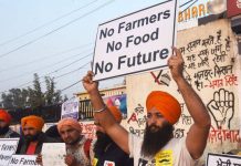 सभी फसलों के लिए एमएसपी की माँग पूरी अर्थव्यवस्था और पर्यावरण के लिए भी मायने रखती है