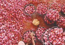 प्याज की कीमतों में गिरावट से क्षुब्ध किसानों ने नासिक में नीलामी रोकी