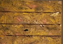 अपनी उमर में लौटते हुए उसी शहर की याद