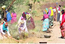 नागरिक समूहों ने मनरेगा को बचाने के लिए विपक्षी दलों से लगाई गुहार