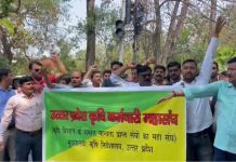 उप्र में बिजली विभाग के कर्मचारियों के उत्पीड़न के खिलाफ प्रदर्शन