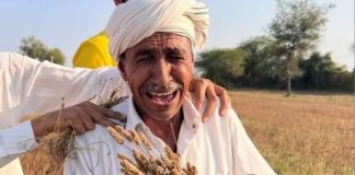 बेमौसम बारिश और ओले ने किसानों की बढ़ाई चिंता, फसलों को 30 से 50 फीसदी नुकसान