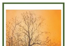 वसन्त बूढ़ा होने नहीं देता