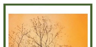 वसन्त बूढ़ा होने नहीं देता