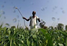 नेट जीरो उत्सर्जन : कृषि को बनाया जा रहा है बलि का बकरा