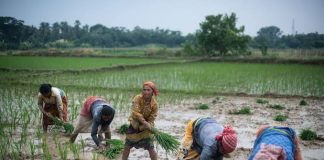 अगले 27 वर्षों में जलवायु आपदाओं का शिकार होंगे भारत के 95 फीसदी छोटे किसान : रिपोर्ट