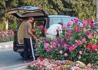 गमला और अमला