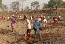 तकनीक की मार से लड़खड़ाया मनरेगा; मजदूरों की संख्या में आयी 16 फीसदी गिरावट