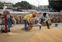 गेहूँ की गुणवत्ता के बहाने किसानों पर नया हमला; संयुक्त किसान मोर्चा ने जताया विरोध