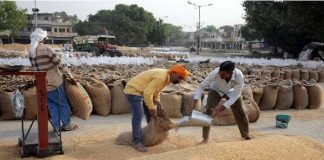 गेहूँ की गुणवत्ता के बहाने किसानों पर नया हमला; संयुक्त किसान मोर्चा ने जताया विरोध