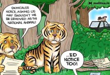 एक फकीर की शाहखर्ची