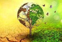 विकसित देशों के मुकाबले भारत के सामने जलवायु परिवर्तन ज्यादा बड़ा खतरा है