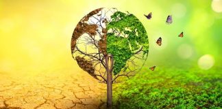 विकसित देशों के मुकाबले भारत के सामने जलवायु परिवर्तन ज्यादा बड़ा खतरा है