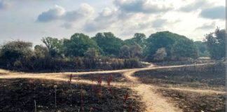 ‘सतत विकास लक्ष्यों’ को बाधित कर सकती है हीट वेव