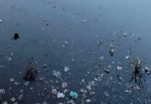 यमुना को प्रदूषण-मुक्त कराने के लिए पंचायत संघ ने आंदोलन में शामिल होने का किया एलान