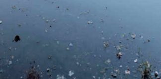 यमुना को प्रदूषण-मुक्त कराने के लिए पंचायत संघ ने आंदोलन में शामिल होने का किया एलान