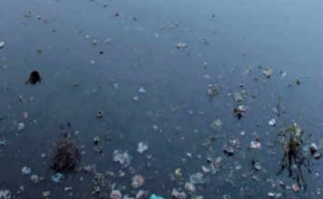 यमुना को प्रदूषण-मुक्त कराने के लिए पंचायत संघ ने आंदोलन में शामिल होने का किया एलान