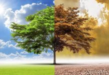 जलवायु संकट से कारगर मुकाबले के लिए हम क्या कर सकते हैं