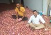किसानों पर दोहरी मार, पहले बारिश से प्याज की फसल हुई बर्बाद, अब 1 रु.किलो में भी खरीदार नहीं