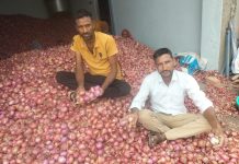 किसानों पर दोहरी मार, पहले बारिश से प्याज की फसल हुई बर्बाद, अब 1 रु.किलो में भी खरीदार नहीं