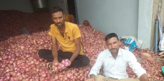 किसानों पर दोहरी मार, पहले बारिश से प्याज की फसल हुई बर्बाद, अब 1 रु.किलो में भी खरीदार नहीं