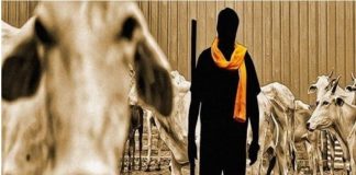 हरियाणा में गोरक्षा के नाम पर हो रही जबरन वसूली – किसानों का आरोप