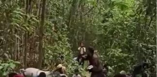 मणिपुर में हिंसा से बचने के लिए आदिवासी भूखे-प्यासे जंगलों में शरण लेने को मजबूर