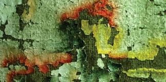 लंगड़े ‘आम’ की राजनीति