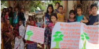 भोपाल में पेड़ कटाई के विरोध में प्रदर्शन
