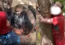 मोबाइल चोरी के शक में मुस्लिम युवक को गंजा करके पीटा, जबरदस्ती जय श्रीराम के नारे भी लगवाए