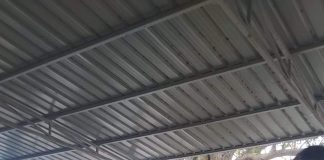 आखिर जुमला साबित हुआ ब्लैक राइस काले चावल के किसान वीरेंद्र सिंह