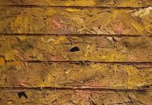 यह सामाजिक पश्चाताप का समय है पेंटिंग- रामप्रवेश पॉल