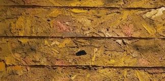 यह सामाजिक पश्चाताप का समय है पेंटिंग- रामप्रवेश पॉल