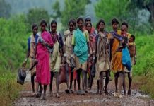 वनाधिकार नहीं मिलने से दोतरफा मार सहने को मजबूर झारखंड के वनाश्रित किसान