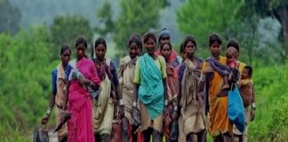 वनाधिकार नहीं मिलने से दोतरफा मार सहने को मजबूर झारखंड के वनाश्रित किसान