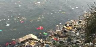 नदियां साफ करो !