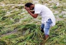 फसल बीमा के नाम पर किसानों के साथ हो रही ठगी