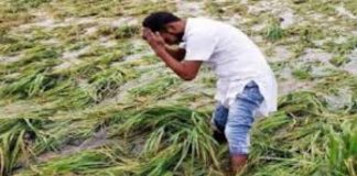 फसल बीमा के नाम पर किसानों के साथ हो रही ठगी