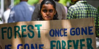 वन संरक्षण कानून में बदलाव के खिलाफ देशभर में क्यों हो रहे हैं प्रदर्शन?