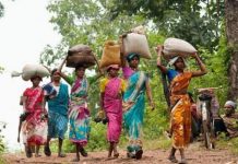 गुजरात में 16 हजार हेक्टेयर से ज्यादा वनभूमि गैर-वनीय उद्देश्यों के लिए दे दी गयी