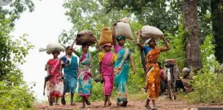 गुजरात में 16 हजार हेक्टेयर से ज्यादा वनभूमि गैर-वनीय उद्देश्यों के लिए दे दी गयी