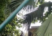 सर्व सेवा संघ परिसर पर बुलडोजर चलाने की निन्दा Bulldozer on sarva seva sangh