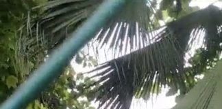 सर्व सेवा संघ परिसर पर बुलडोजर चलाने की निन्दा Bulldozer on sarva seva sangh