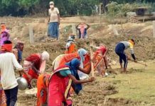 वित्त वर्ष 2022-23 में मनरेगा से 5 करोड़ से अधिक श्रमिकों के नाम हटाए गए
