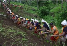 वन संरक्षण संशोधन कानून के खिलाफ एकसाथ आए नागा समूह Nagaland Forest issue