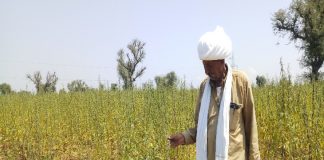 फसल बीमा : कंपनियों ने लूटे हजारों करोड़