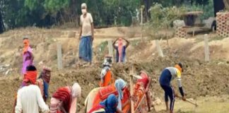 मनरेगा को धीरे-धीरे खत्म कर रही सरकार